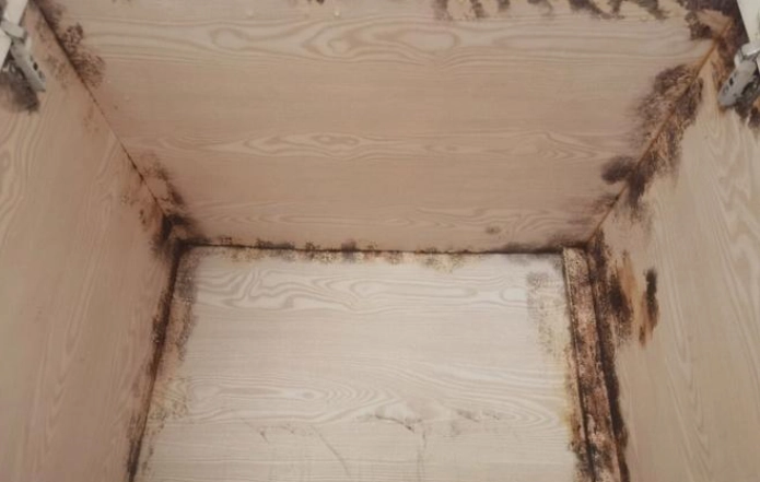 木櫃除霉方法 木櫃除霉方法