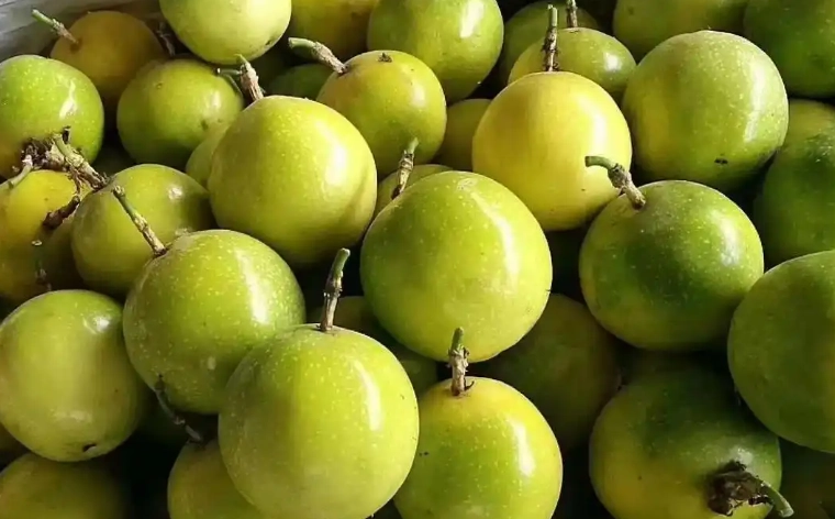 百香果營養價值