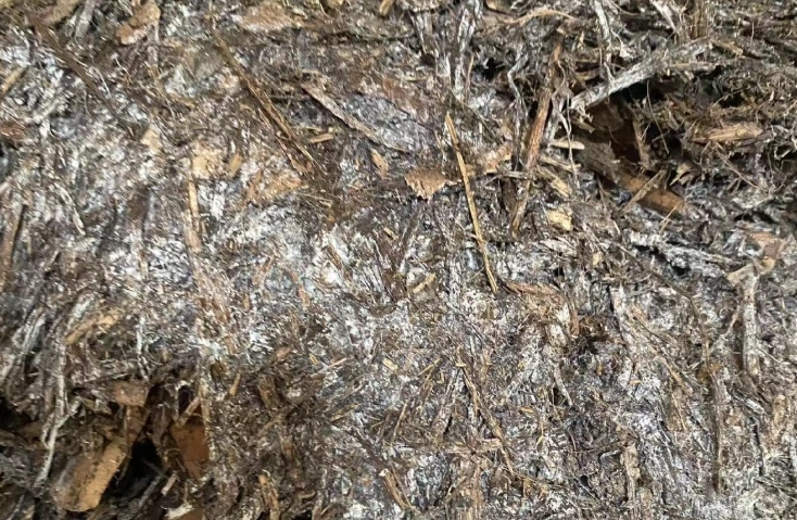 培養土發霉處理