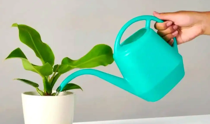 自來水澆花注意事項