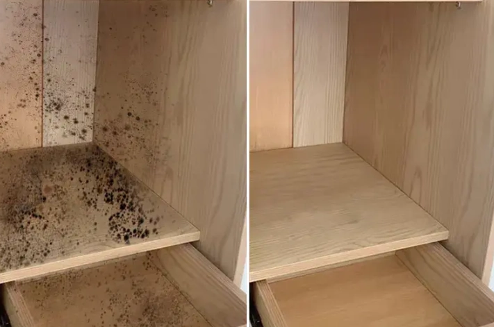 木櫃除霉方法 木櫃除霉方法