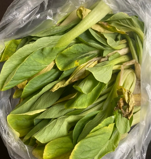 防止菜心變黃 防止菜心變黃