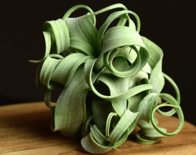 空氣鳳梨電捲燙養護