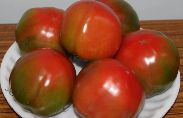 黑柿番茄栽培季節