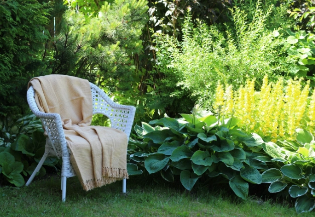 耐陰植物選擇 耐陰植物選擇