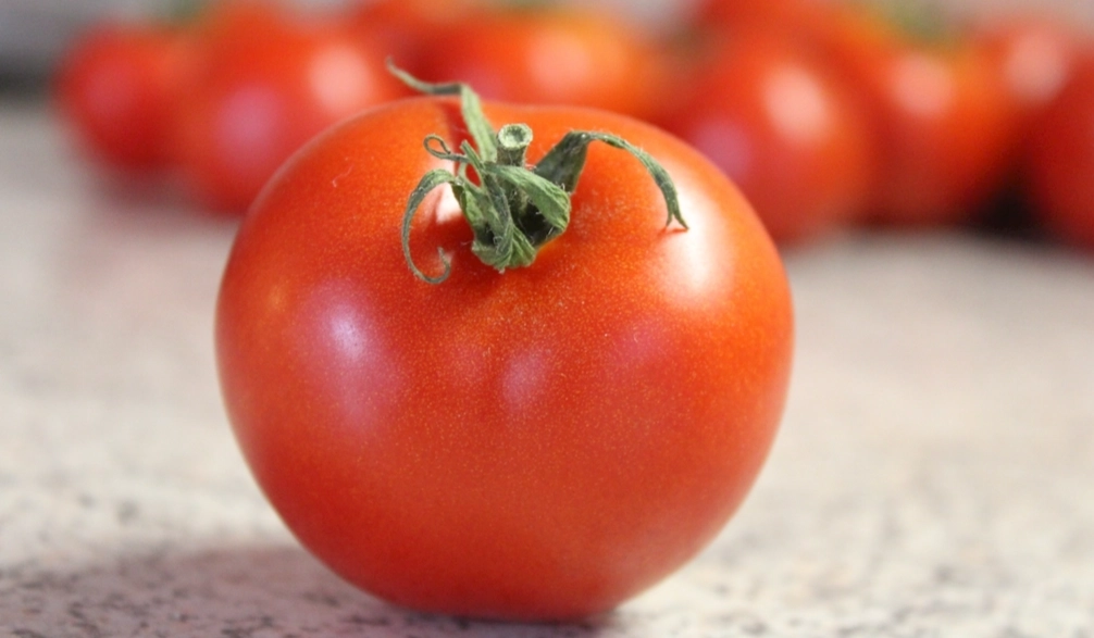 小番茄栽培技巧 小番茄栽培技巧