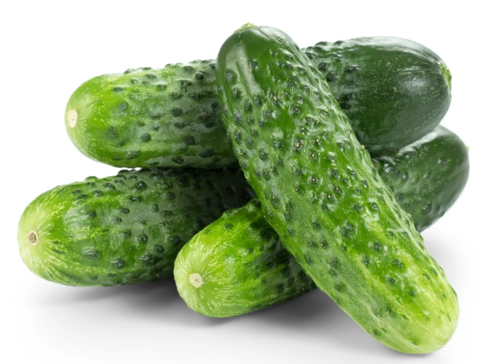 黃瓜種植距離 黃瓜種植距離