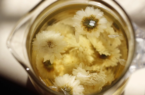 菊花茶健康風險