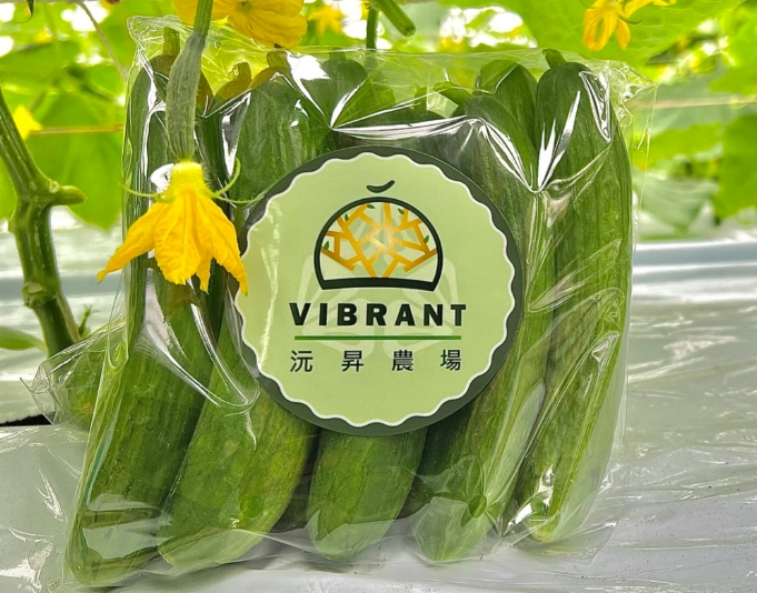 小黃瓜栽培方法