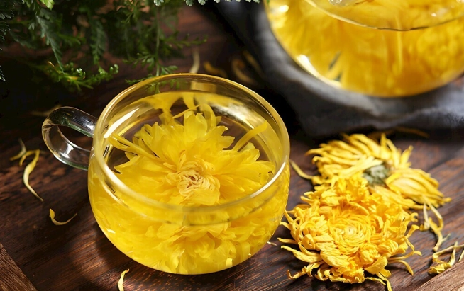 菊花茶副作用 菊花茶副作用