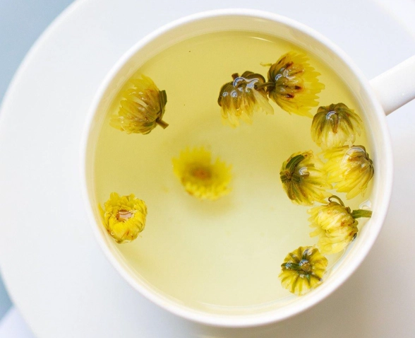 菊花茶健康風險