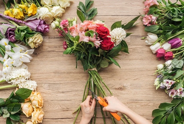 蘭花養護 蘭花養護