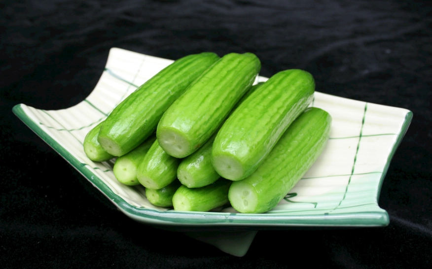 小黃瓜栽培間距 小黃瓜栽培間距