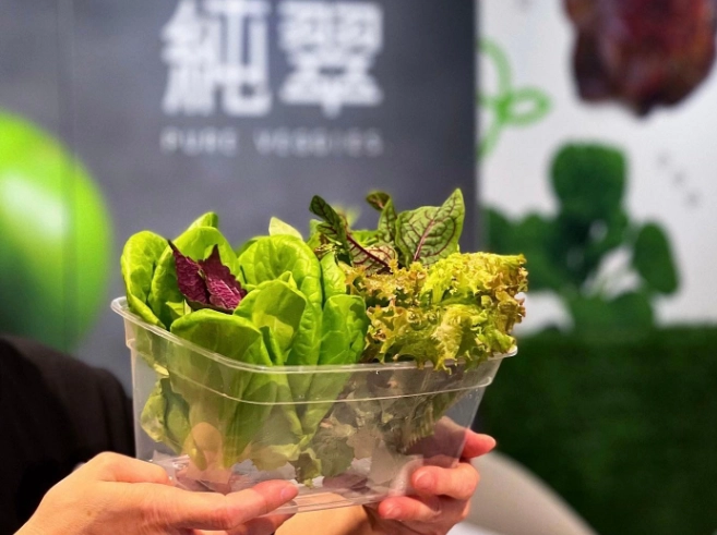 水耕種植優勢 水耕種植優勢