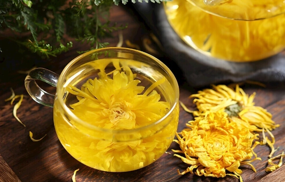 菊花茶健康風險