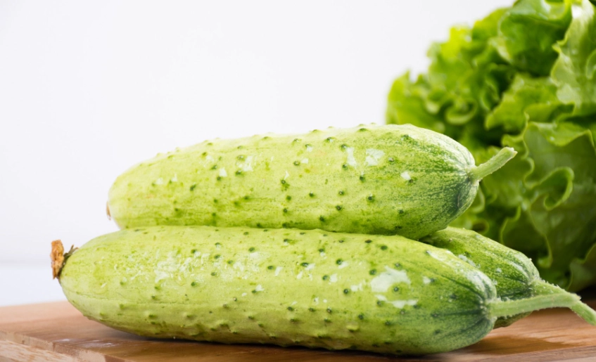 黃瓜病蟲害防治 黃瓜病蟲害防治