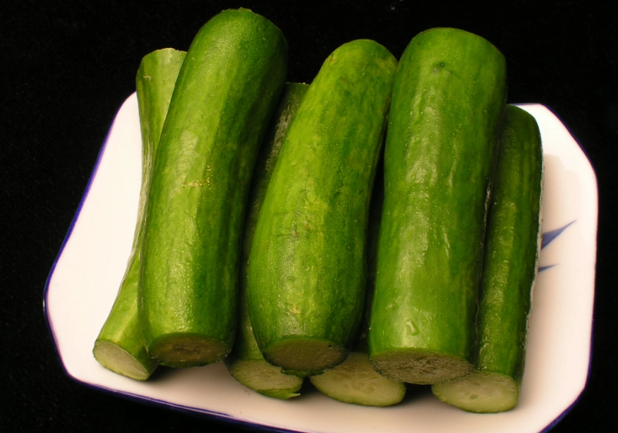 黃瓜種植距離 黃瓜種植距離