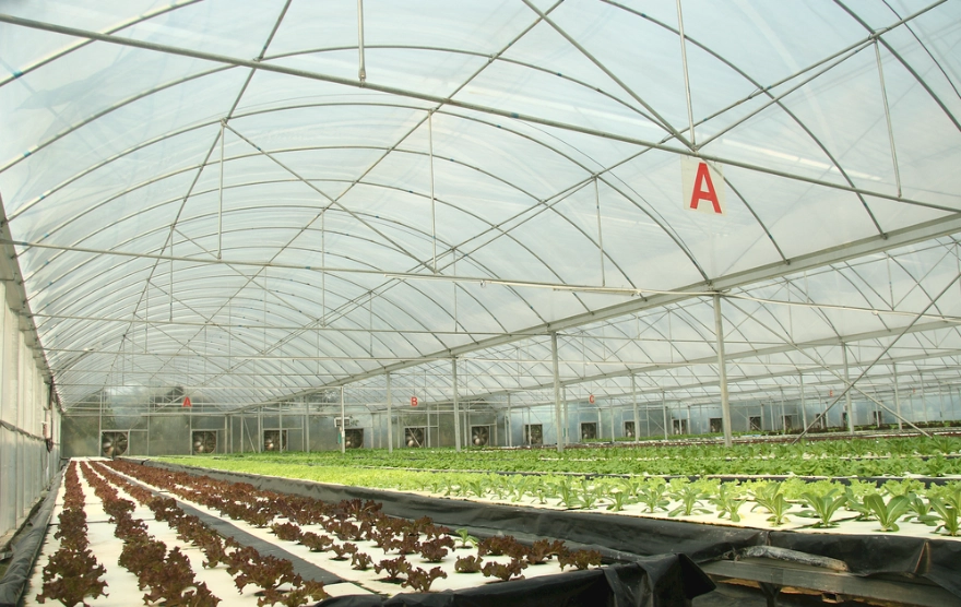 水耕栽培系統 水耕栽培系統