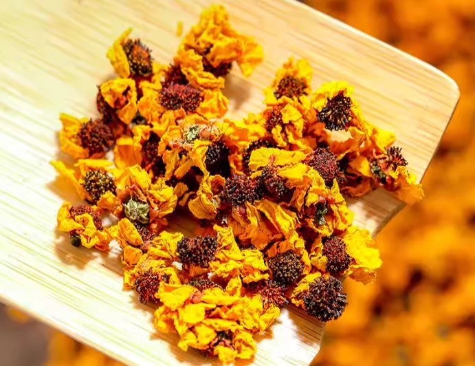 血菊花茶哪裡買