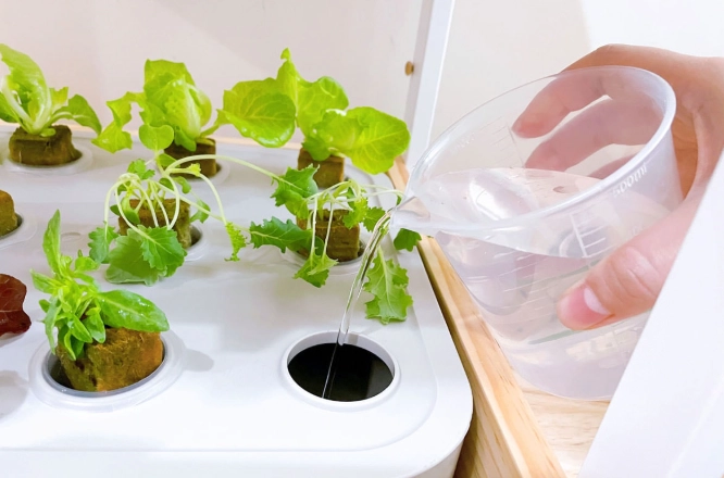 水耕栽培設備 水耕栽培設備