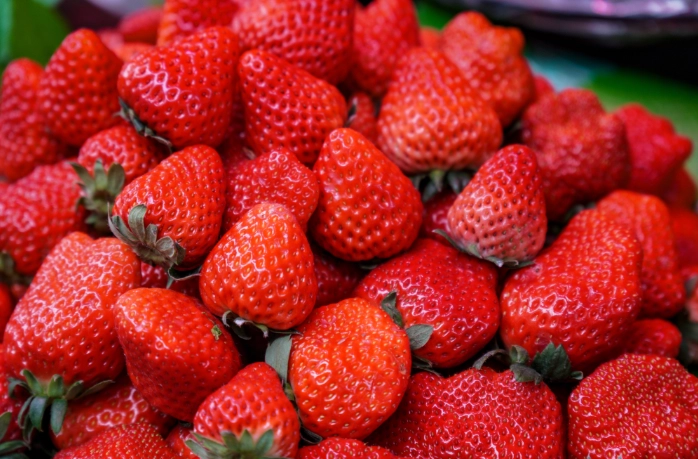 採草莓季節 採草莓季節