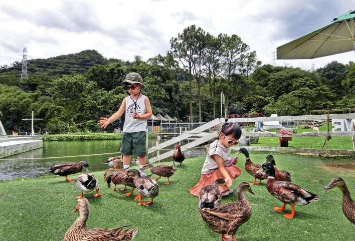 台灣親子農場