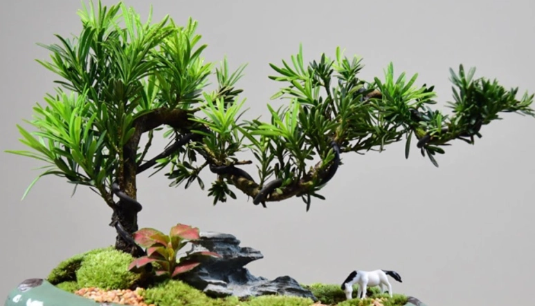 小盆栽造型技巧