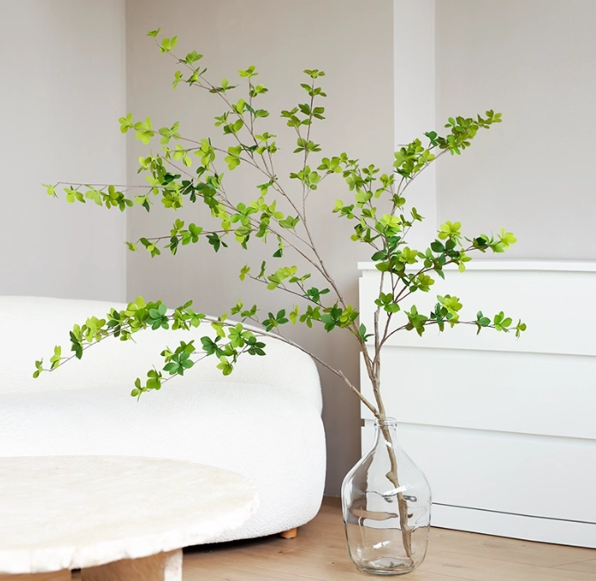 日本吊鐘樹病蟲害