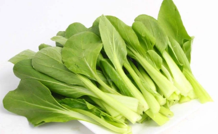 黃化小白菜處理