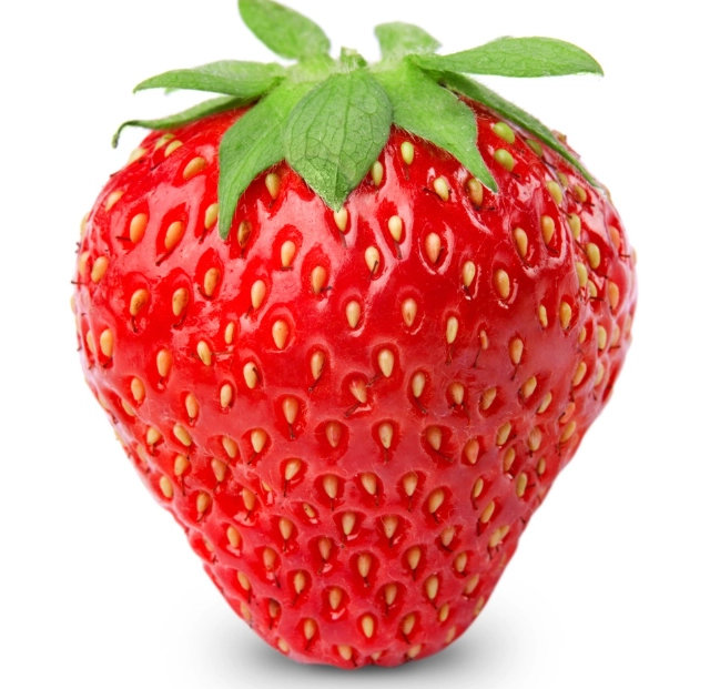 採草莓季節 採草莓季節