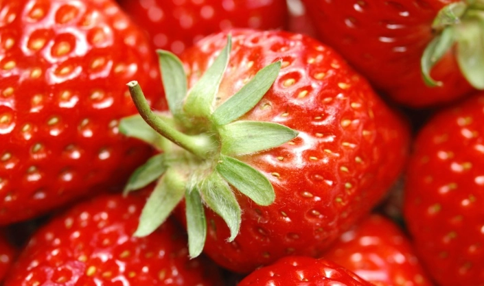 草莓園推薦 草莓園推薦