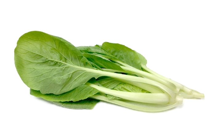 黃化小白菜處理