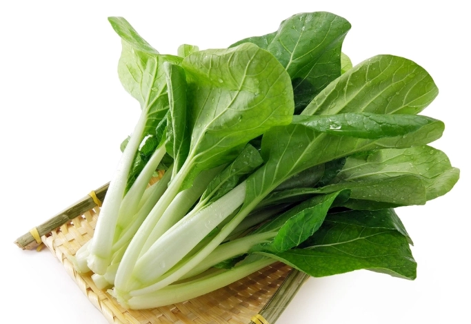 黃化小白菜處理