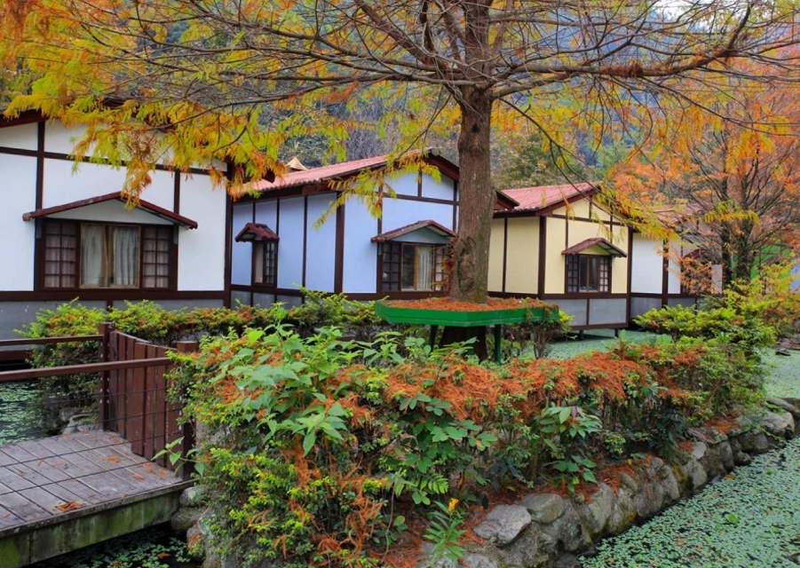 農場住宿體驗 農場住宿體驗