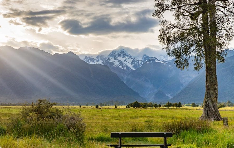 紐西蘭自由行費用 紐西蘭自由行費用