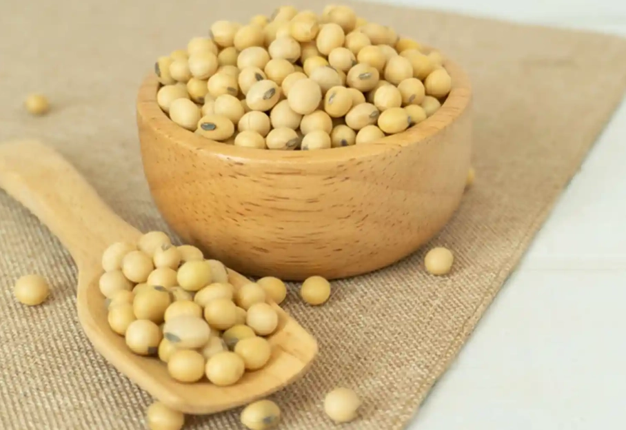 豆类对关节炎的影响 豆类对关节炎的影响