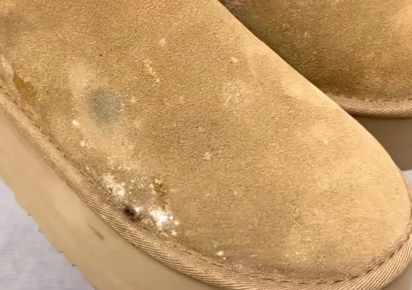 布料發霉清潔方法