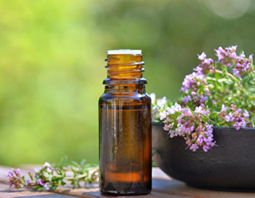 茶樹精油 寵物安全