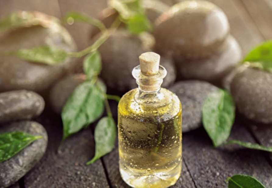 茶樹精油 寵物安全