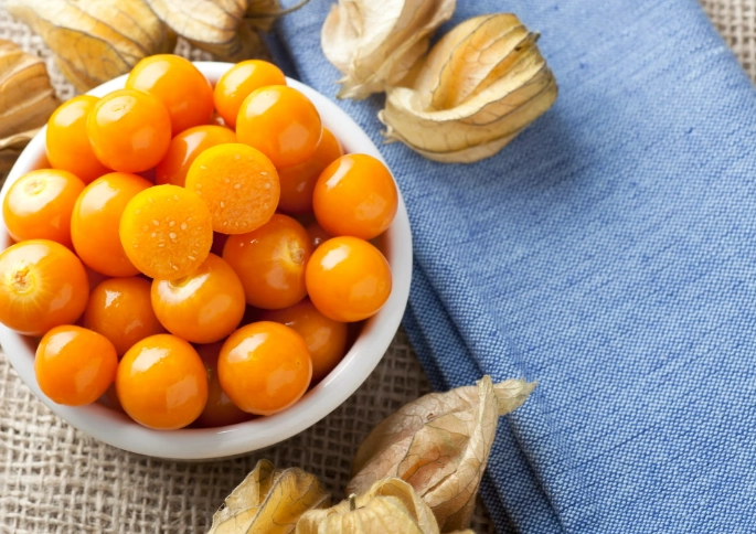 燈籠果過敏症狀