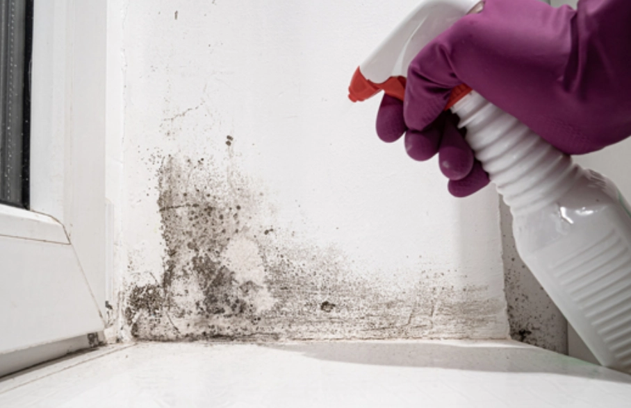 漂白水使用技巧