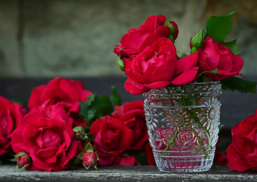 玫瑰花乾燥保存