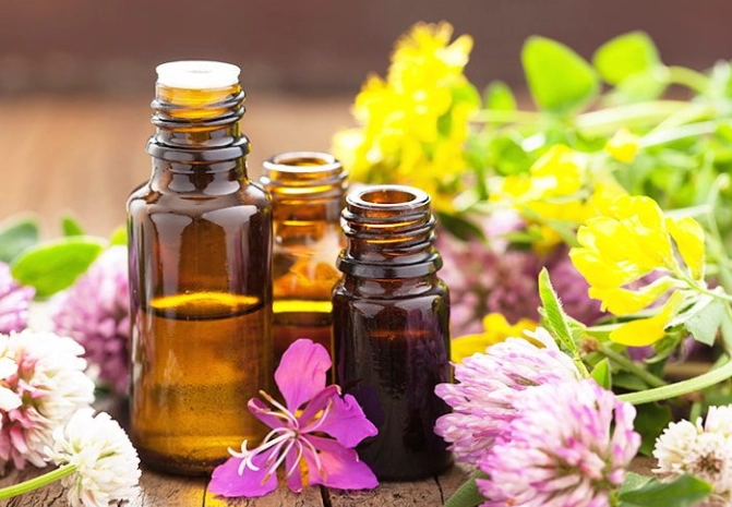 茶樹精油 貓咪 有害