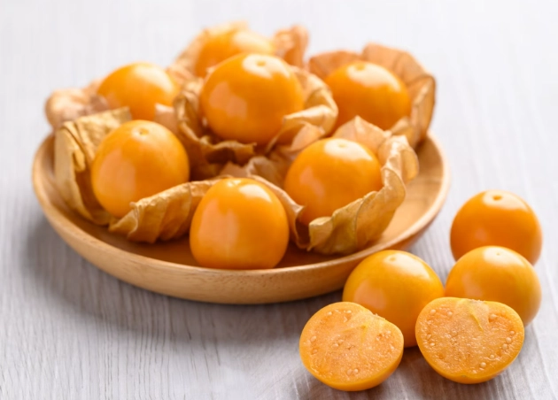 燈籠果生命週期