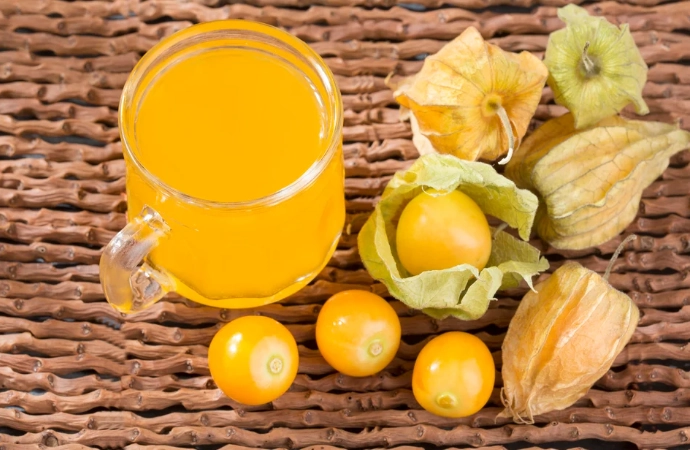 燈籠果種植技巧