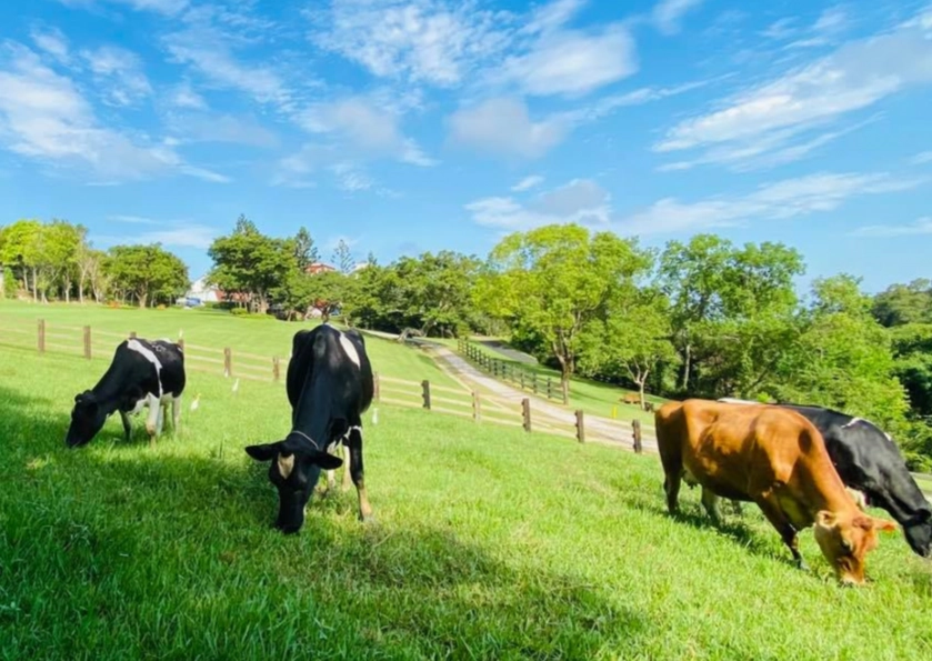 苗栗高評分景點