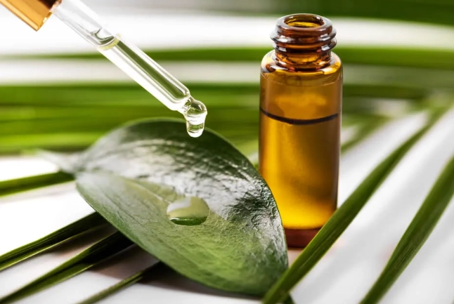 茶樹精油 貓咪 有害