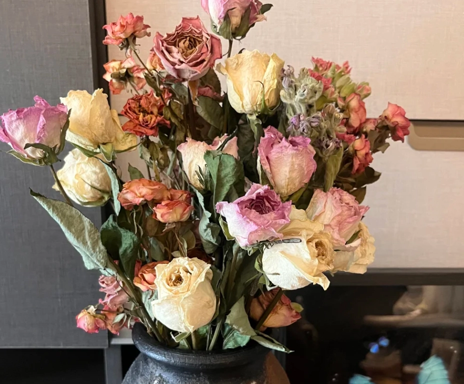 玫瑰花延長花期