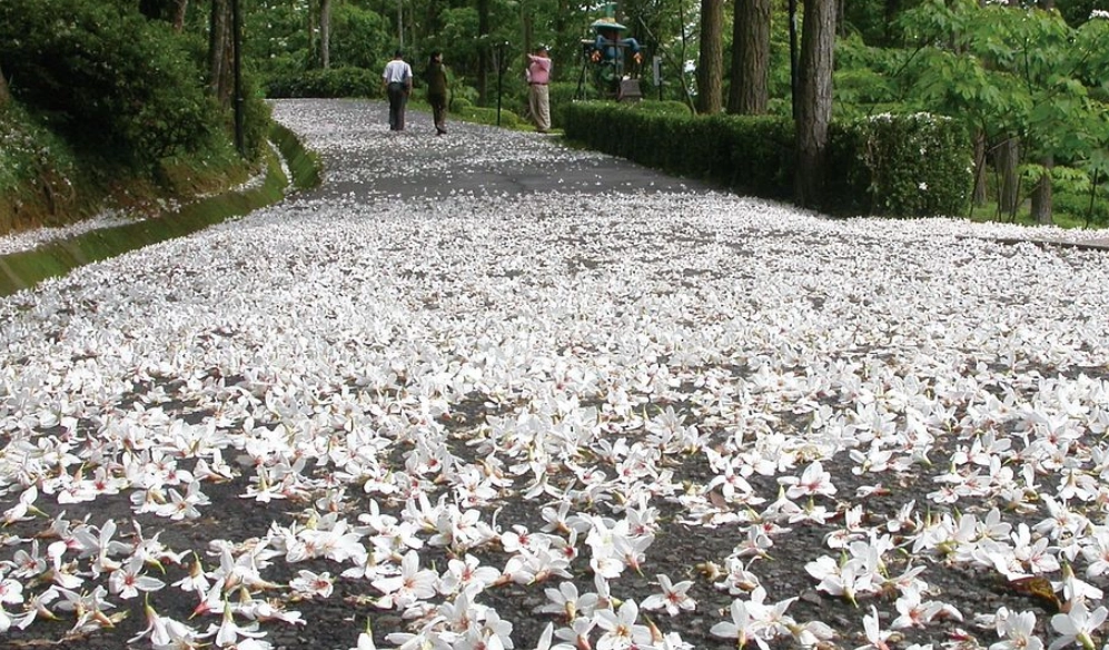 苗栗旅遊景點推薦