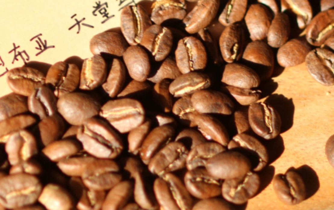 巴布亞新幾內亞咖啡特色